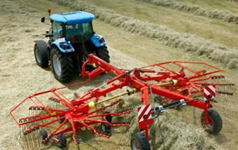 hay forage